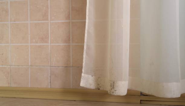 Best Indoor Air Quality Assessment  in Springville, IA