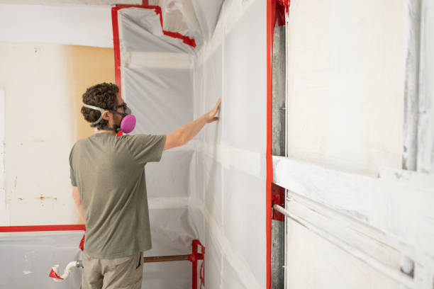 Asbestos and Lead Testing During Mold Inspection in Springville, IA