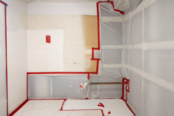 Best Environmental Consulting for Mold Prevention  in Springville, IA
