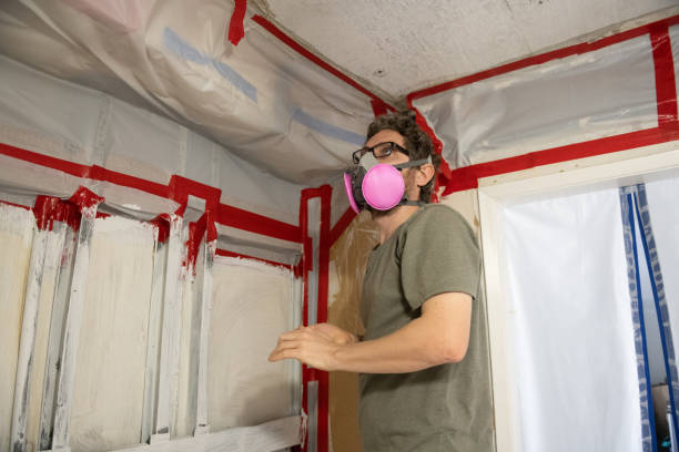  Springville, IA Mold Removal Pros