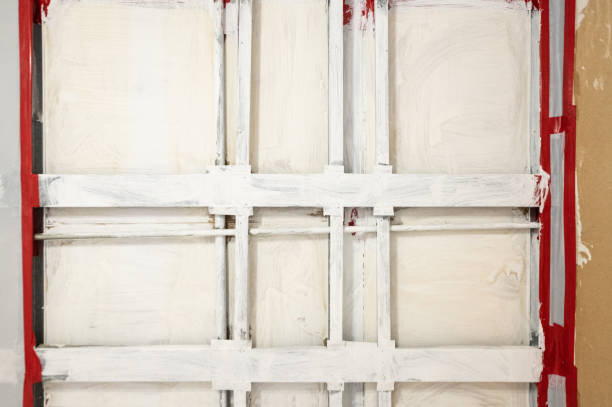 Biohazard Mold Removal in Springville, IA
