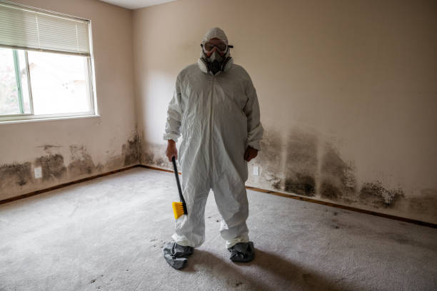 Best Industrial Mold Remediation  in Springville, IA